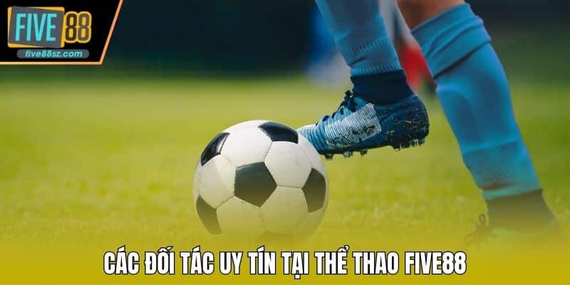 Các đối tác uy tín tại thể thao FIVE88