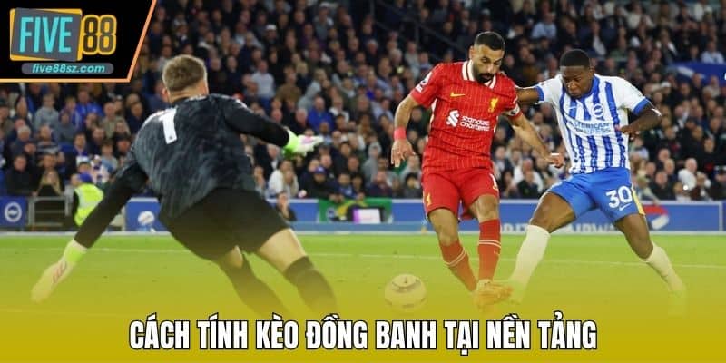 Cách tính kèo đồng banh tại nền tảng