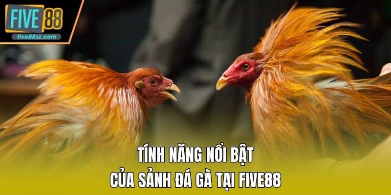 Tính năng nổi bật của sảnh đá gà tại FIVE88